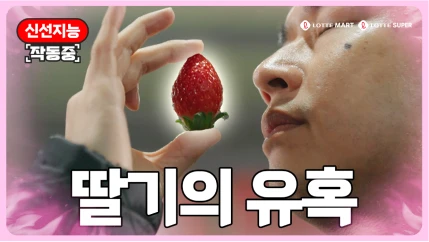 딸기의 유혹