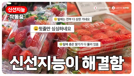 신선지능이 해결함