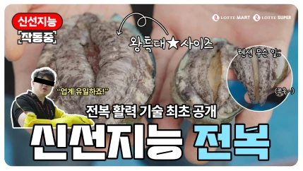 신선지능 전복