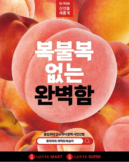 복불복 없는 완벽함